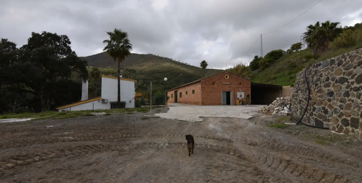 Sale of finca - cortijo in Mijas 2