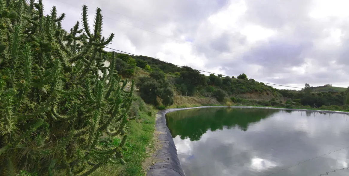 Sale of finca - cortijo in Mijas 5