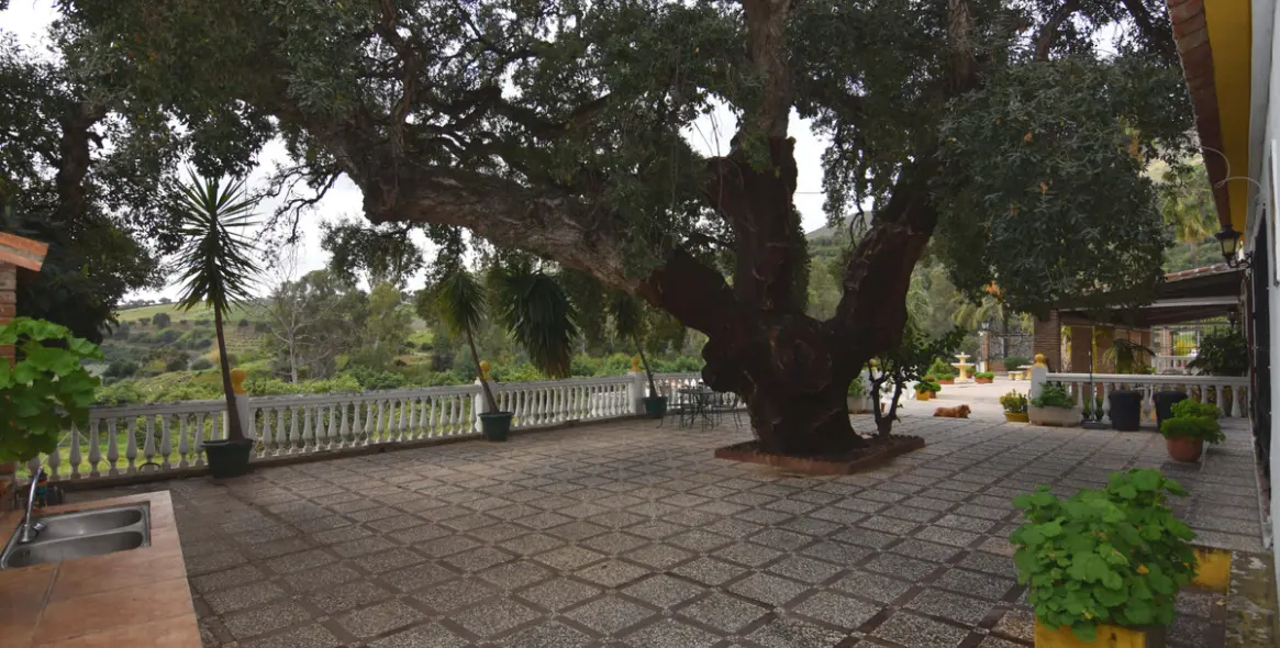 Sale of finca - cortijo in Mijas 7