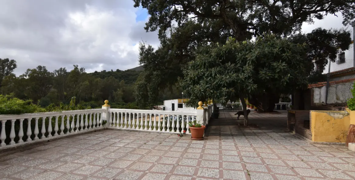 Sale of finca - cortijo in Mijas 12