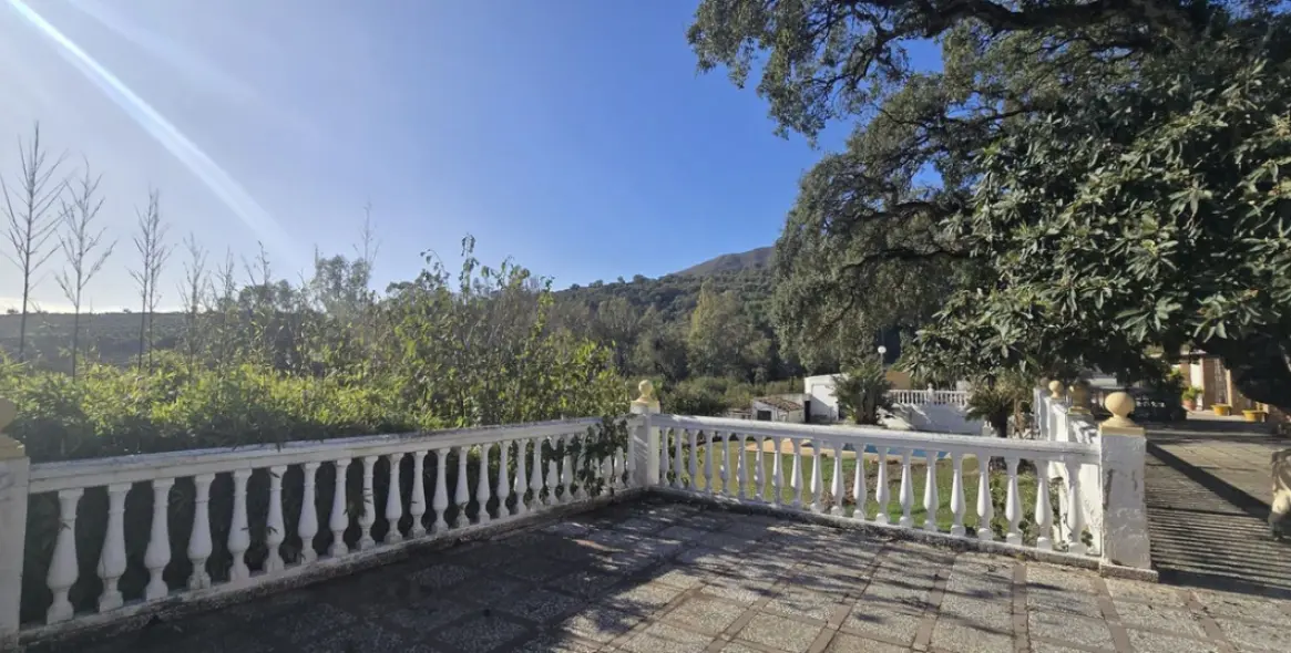 Sale of finca - cortijo in Mijas 22