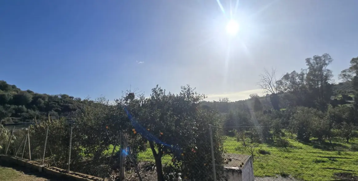 Sale of finca - cortijo in Mijas 62