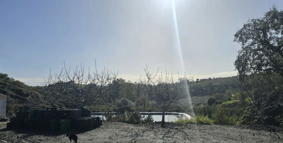 Sale of finca - cortijo in Mijas 64