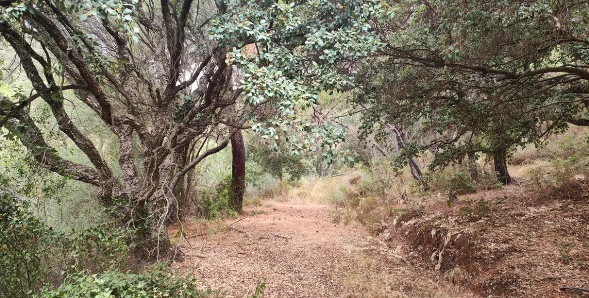 Sale of residential plot in Istán 1