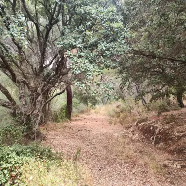Sale of residential plot in Istán