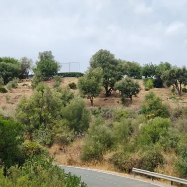 Sale of residential plot in Istán