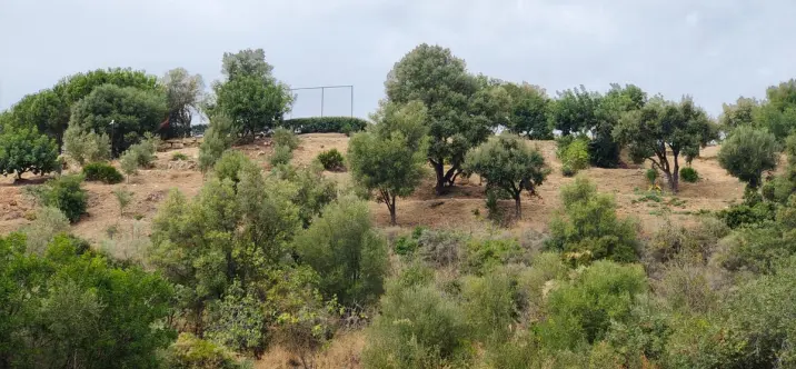 Sale of residential plot in Istán 1