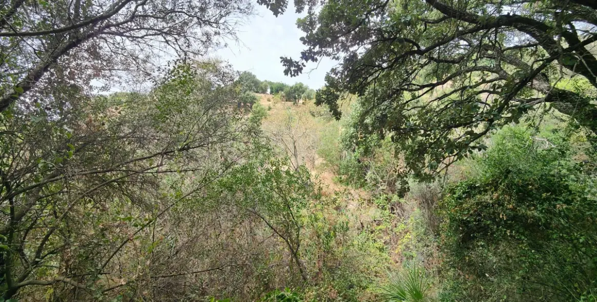 Sale of residential plot in Istán 3