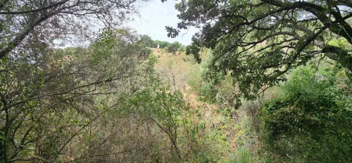 Sale of residential plot in Istán 2