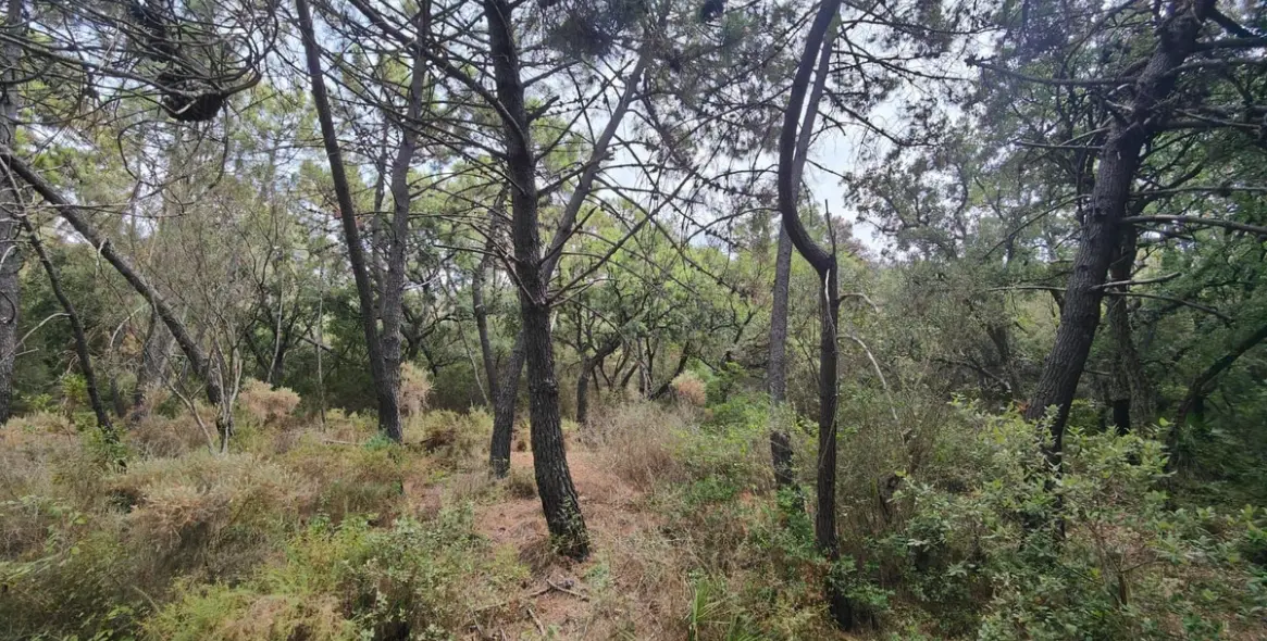 Sale of residential plot in Istán 4