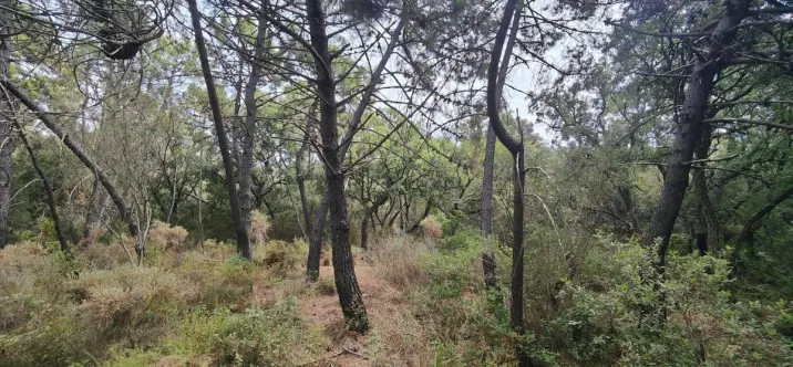 Sale of residential plot in Istán 3