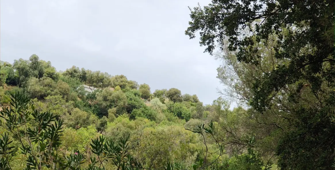 Sale of residential plot in Istán 5