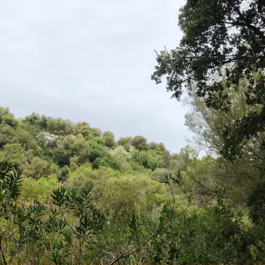 Sale of residential plot in Istán