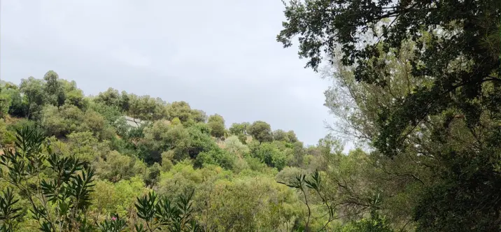 Sale of residential plot in Istán 4