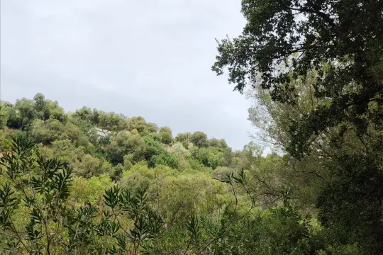 Image 5 thumb