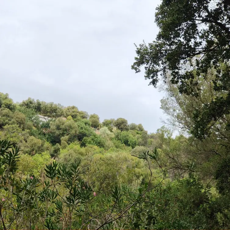 Venta de parcela residencial en Istán