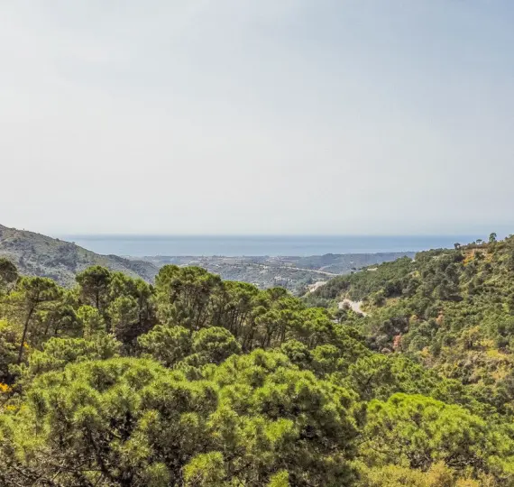 Parcela residencial R4290724