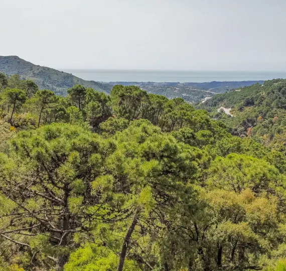 Parcela residencial R4290724