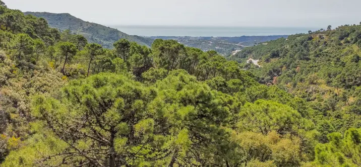 Parcela residencial R4290724 4