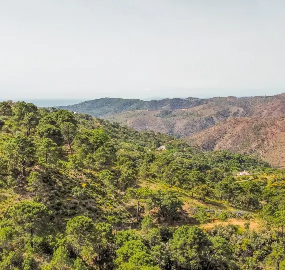 Parcela residencial R4290724