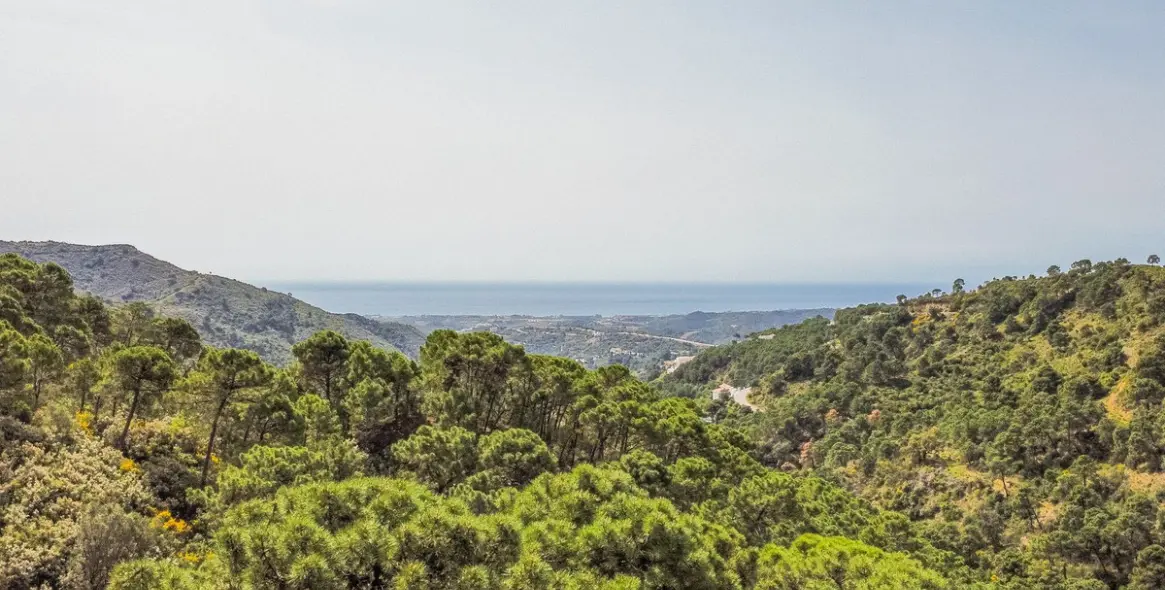 Sale of residential plot in Benahavís 3