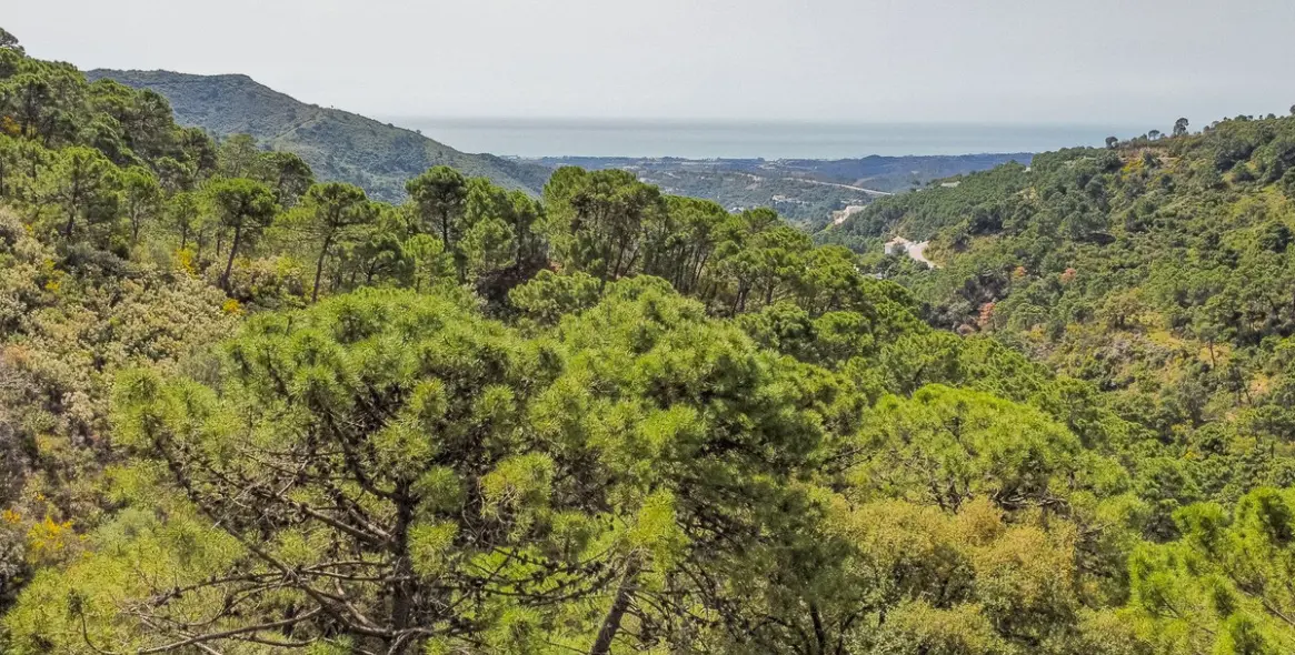 Sale of residential plot in Benahavís 5