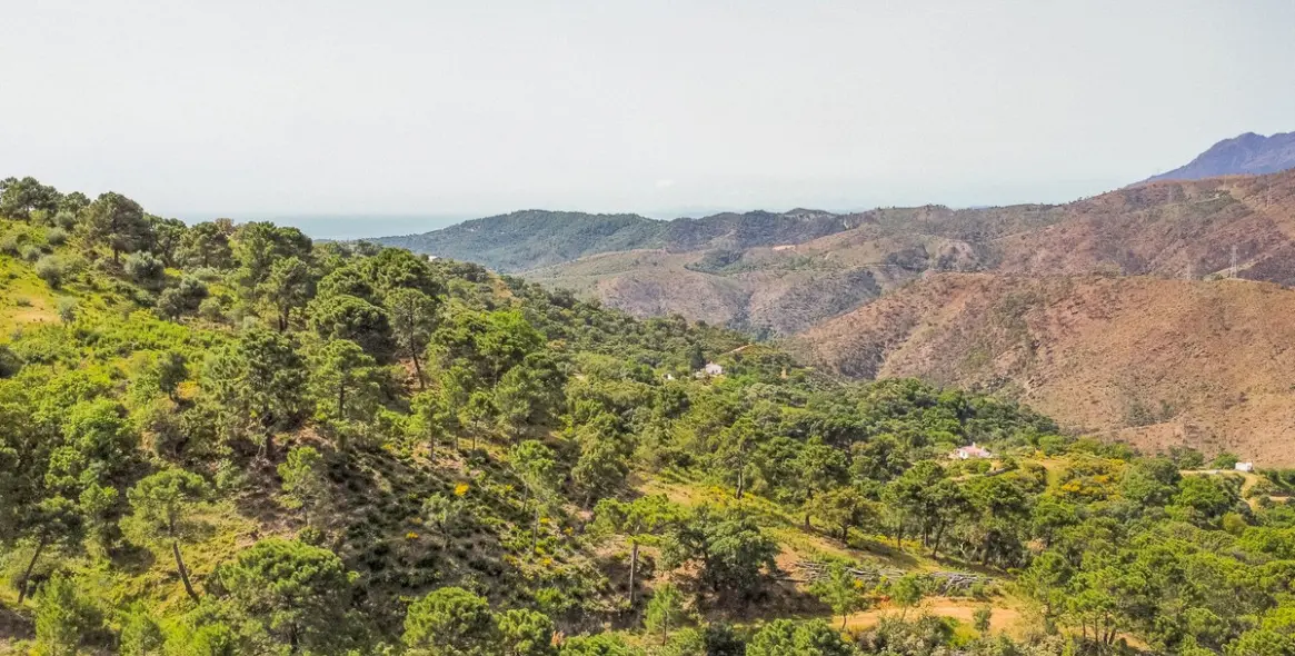 Sale of residential plot in Benahavís 6