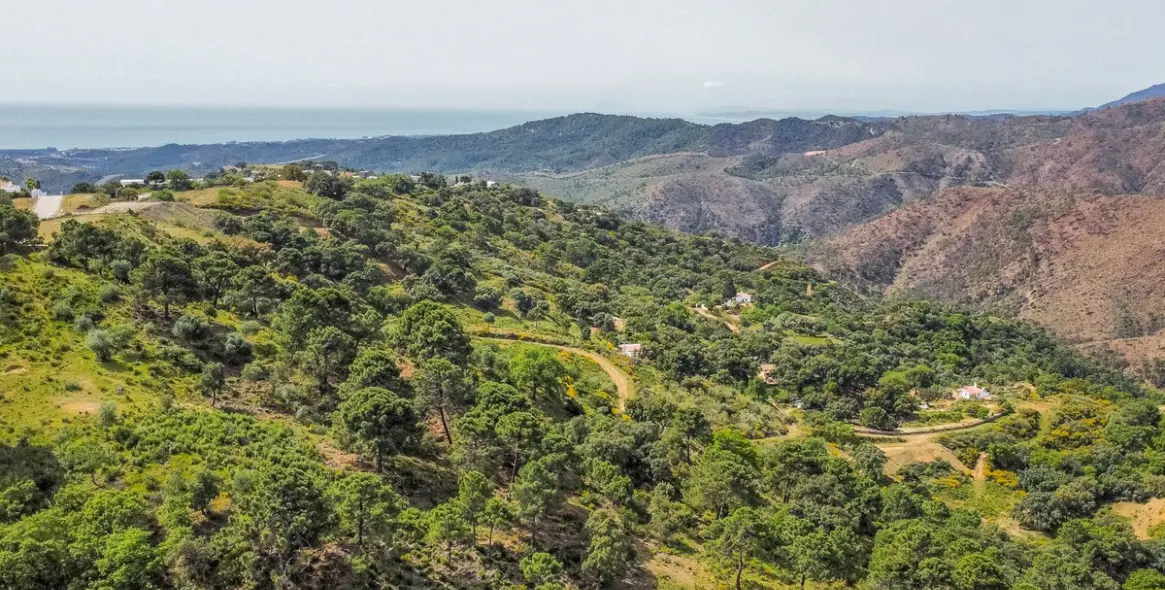 Sale of residential plot in Benahavís 7