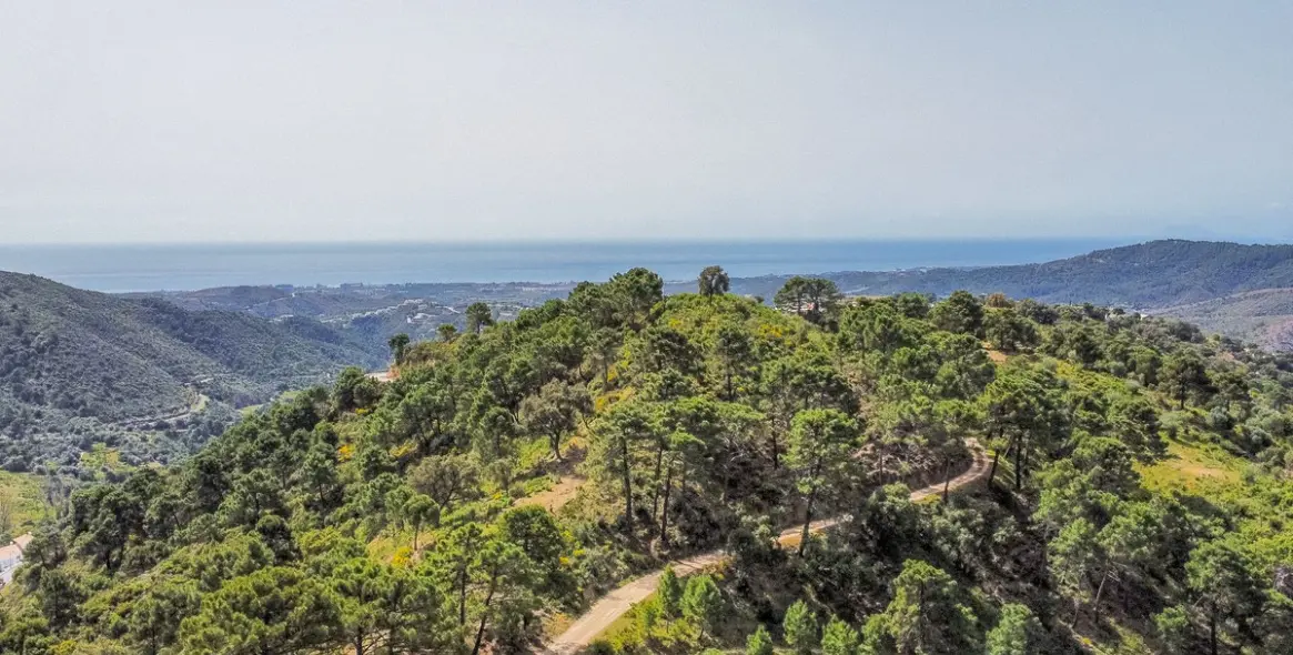 Sale of residential plot in Benahavís 8