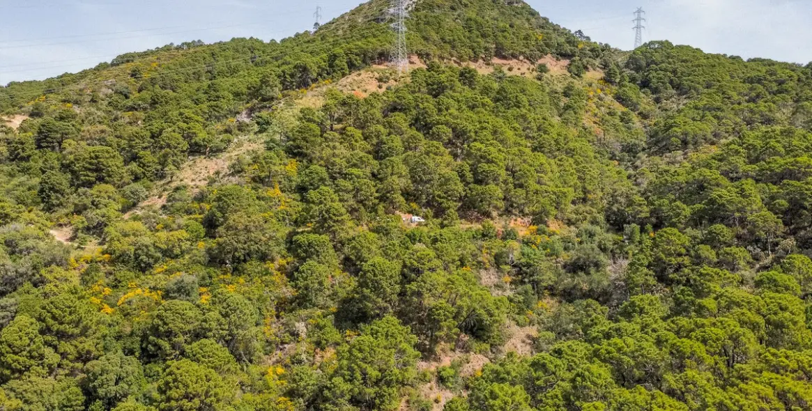 Sale of residential plot in Benahavís 10