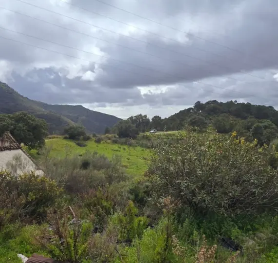 Parcela residencial R4974601