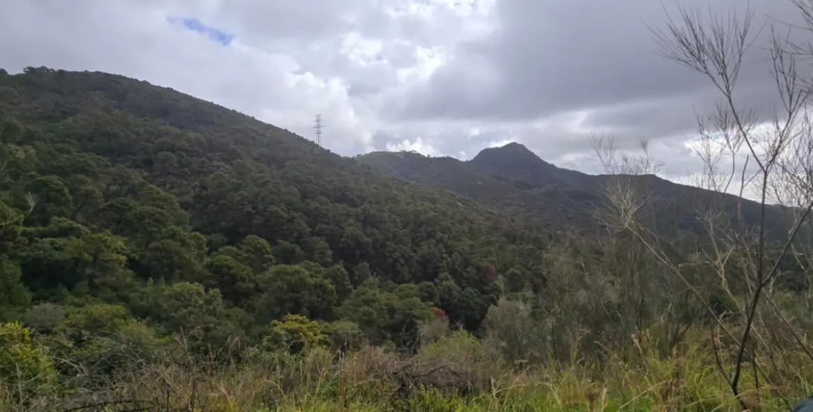 Venta de parcela residencial en Benahavís (distrito Benahavís) 5