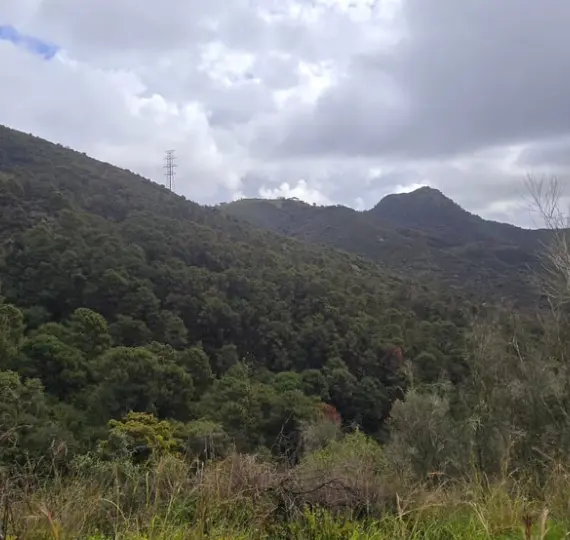 Parcela residencial R4974601