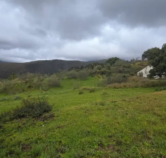 Parcela residencial R4974601