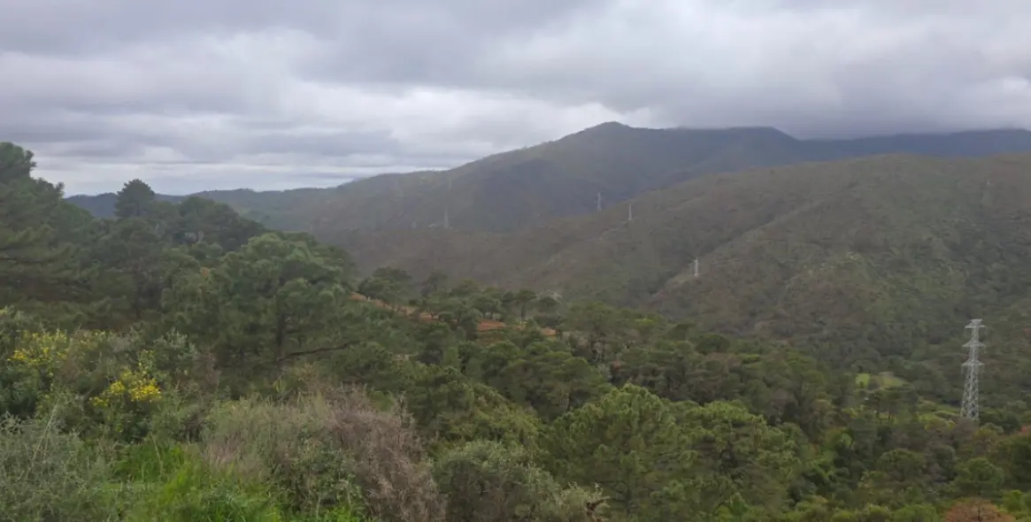 Venta de parcela residencial en Benahavís (distrito Benahavís) 10