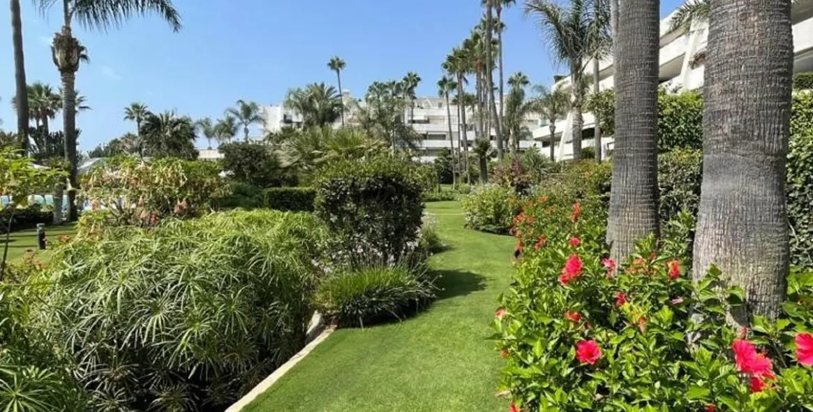 Sale of middle floor apartment in Puerto Banús 5