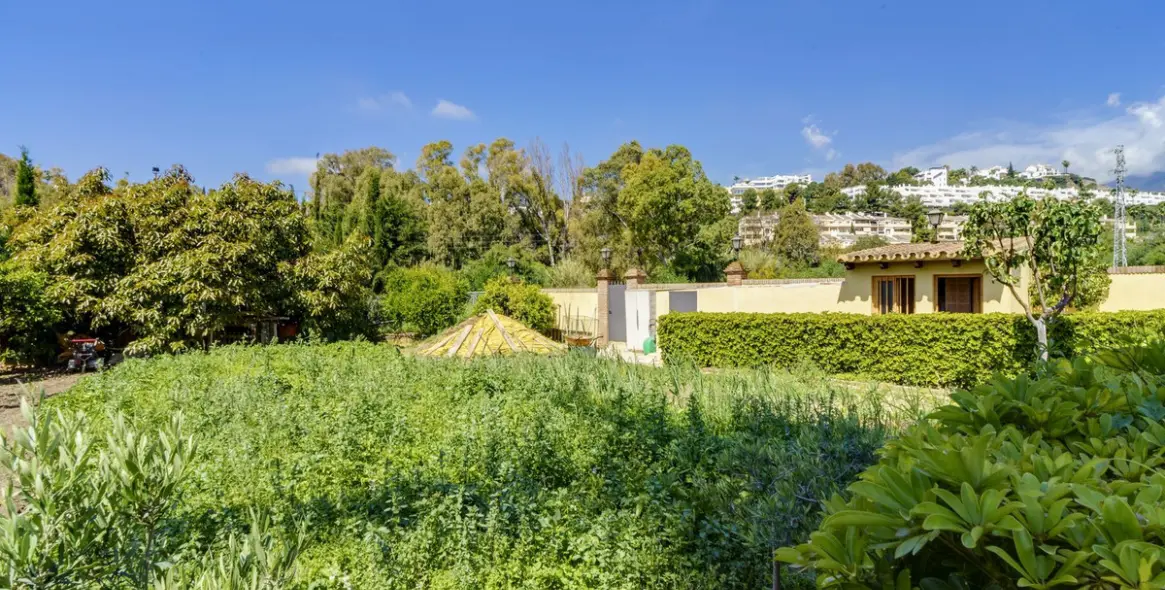 Продажа  отдельно стоящей виллы в La Quinta 24