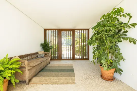 Image 20 thumb