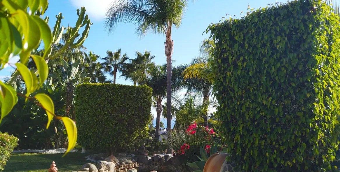 Продажа  отдельно стоящей виллы в Hacienda Las Chapas 50