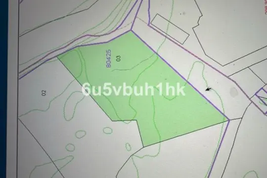 Image 7 thumb