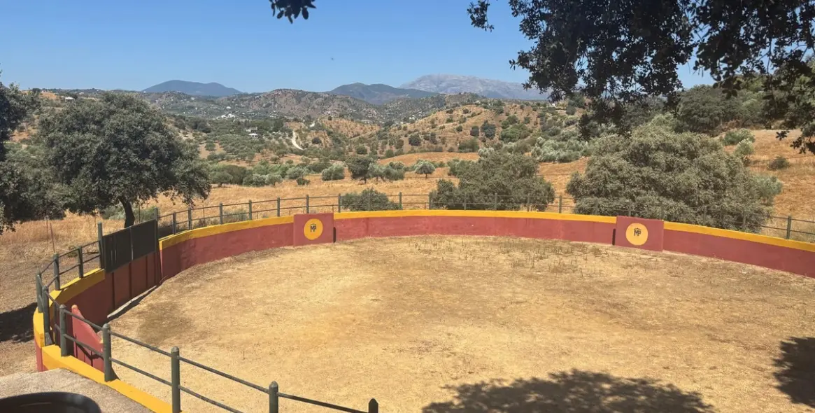 Sale of farm in Monda 3