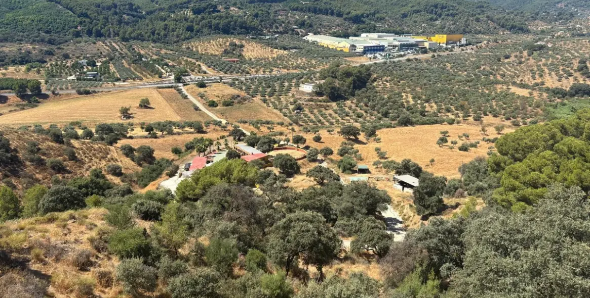 Sale of farm in Monda 4