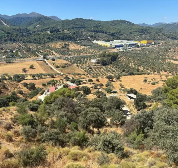 Продажа фермы в Monda