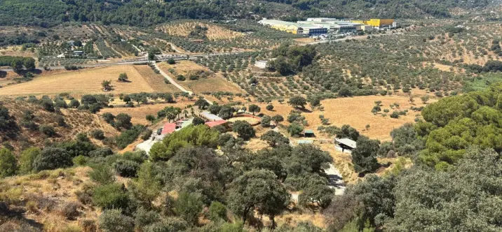 Продажа фермы в Monda 3