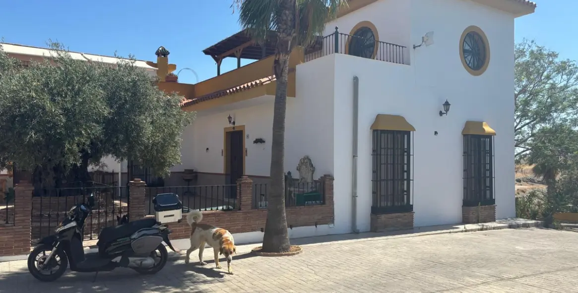 Sale of farm in Monda 5