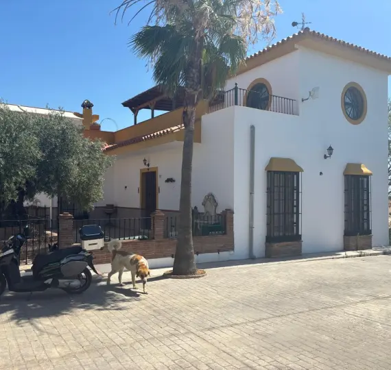 Продажа фермы в Monda