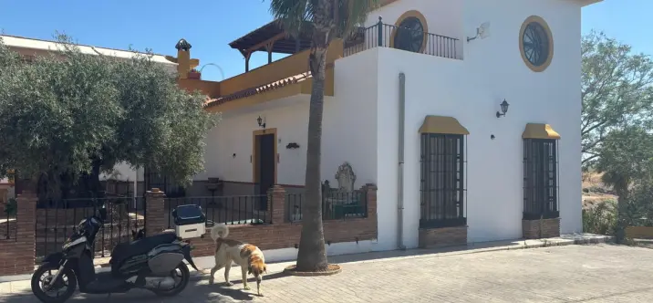 Продажа фермы в Monda 4