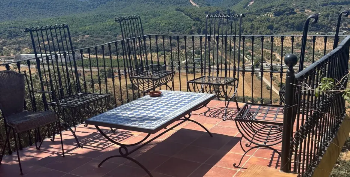 Sale of farm in Monda 7