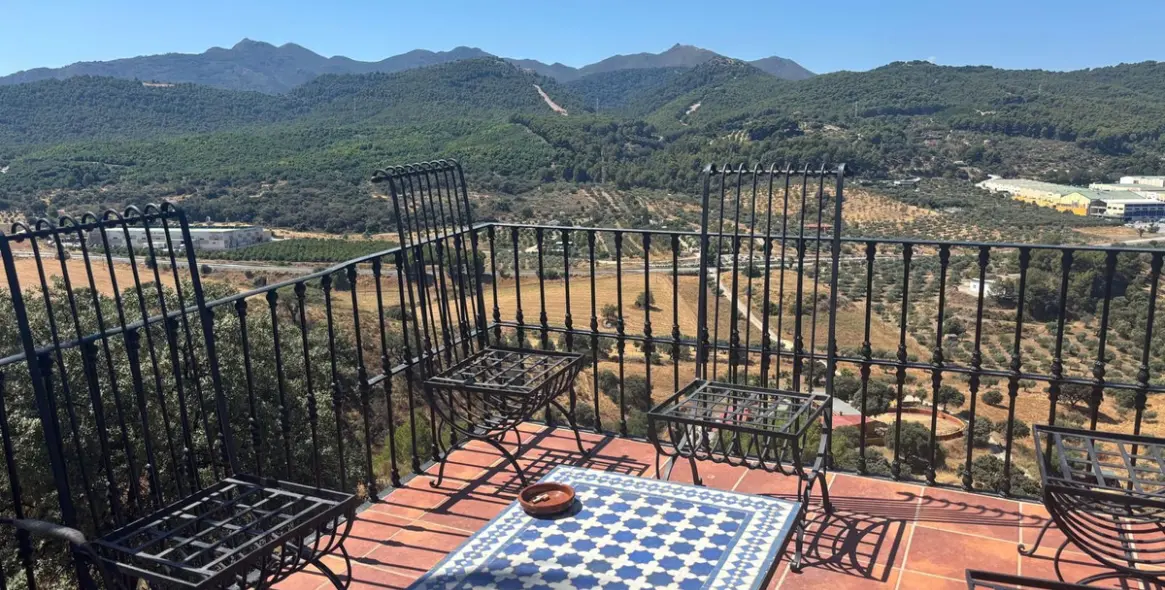 Sale of farm in Monda 8