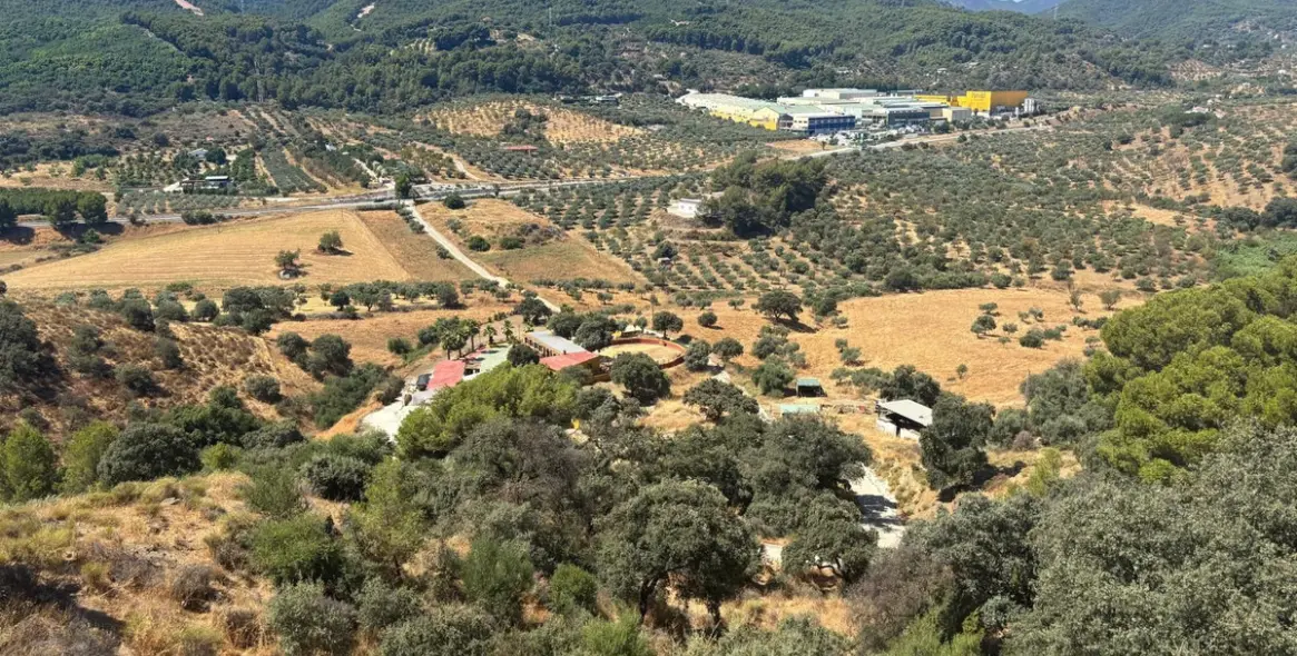 Sale of farm in Monda 13